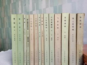 揭秘中國小說史料叢書 上海圖書、音像與軟件中的遺珠之珍